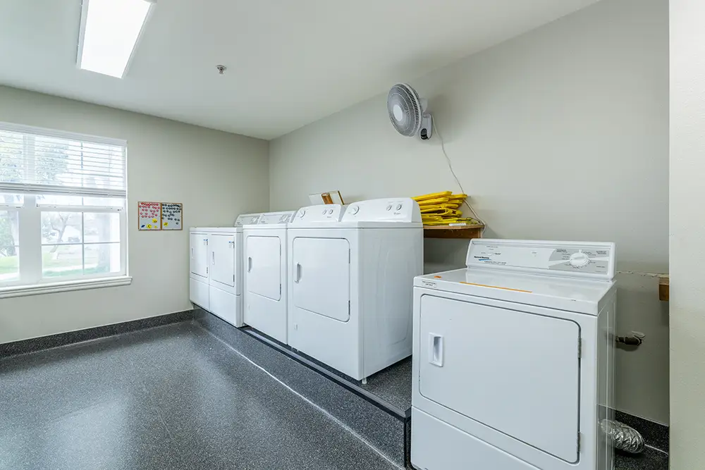 A clean laundry room with four white washing machines, a dryer, a wall-mounted fan, folded yellow linens, and a large window letting in natural light. A clean laundry room with four white washing machines, a dryer, a wall-mounted fan, folded yellow linens, and a large window letting in natural light.
