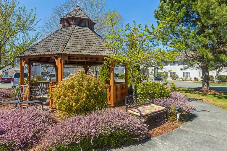 A wooden gazebo with benches sits among shrubs and blooming plants beside a paved walkway on a sunny day at Trustwell Senior Living. A wooden gazebo with benches sits among shrubs and blooming plants beside a paved walkway on a sunny day at Trustwell Senior Living.
