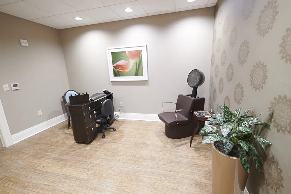 TWRH19 A small salon room with a styling station, telephone, a chair with a hood dryer, a plant, and a floral picture on the wall.