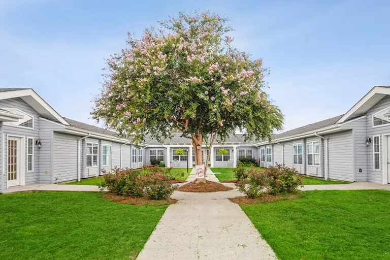 A courtyard at Trustwell Senior Living features a large tree in the center, surrounded by single-story gray buildings and lush green grass under a clear sky. A courtyard at Trustwell Senior Living features a large tree in the center, surrounded by single-story gray buildings and lush green grass under a clear sky.